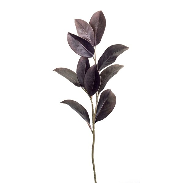 Set of 12 Green Stem and Brown Artificial Magnolia Leaf Spray 32” - N/A