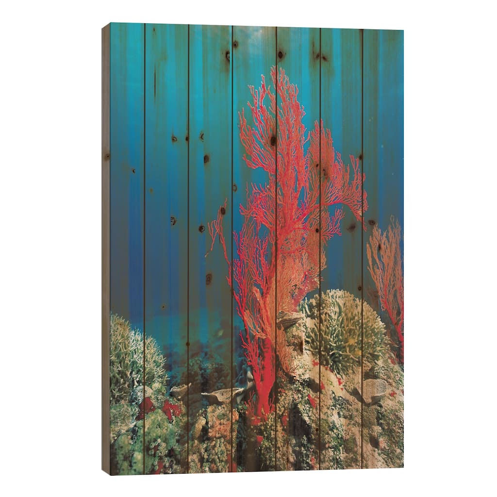 Red Coral Print On Wood by Unknown Artist - Multi-Color