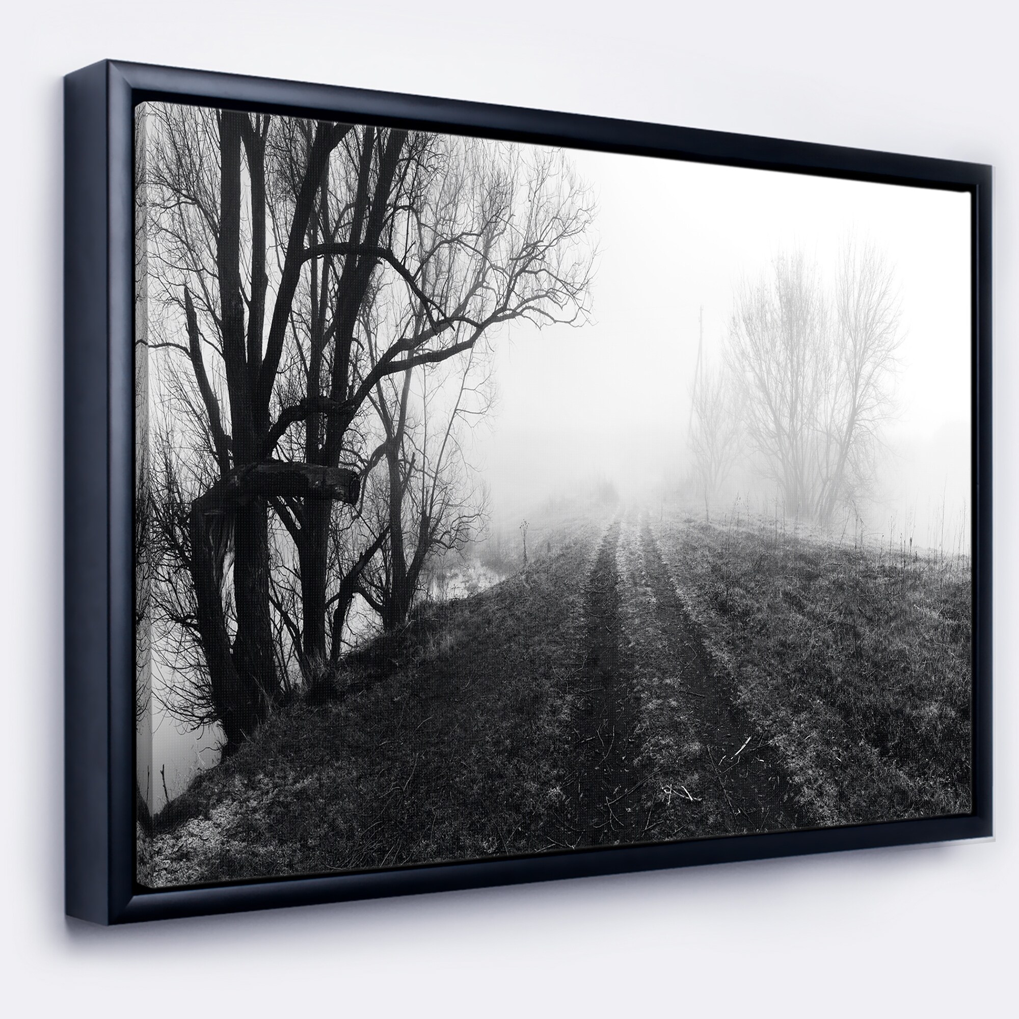 https://ak1.ostkcdn.com/images/products/is/images/direct/f166ae1a875f962425d48417000cabffb9972096/Designart-%27Black-and-White-Misty-Landscape-Panorama%27-Landscape-Framed-Canvas-Art-Print.jpg