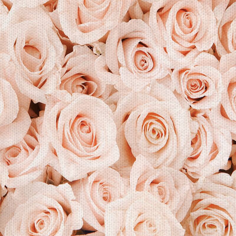 Bed of Roses by Belle Maison Canvas Art Print