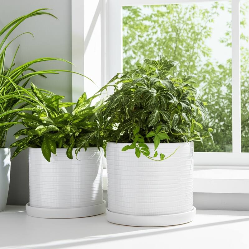 Ceramic Saucer Planters Subtle Finish (Set of 2) - 10", 9" White - 11.75" x 11.75" x 10.25"