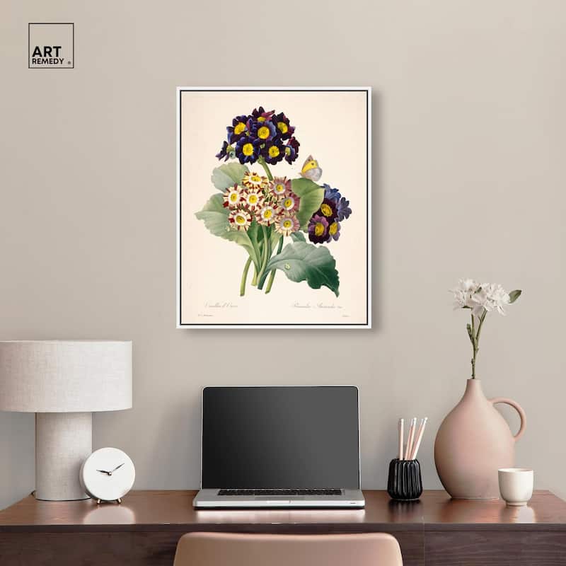 Auricula Varieties Canvas by Art Remedy