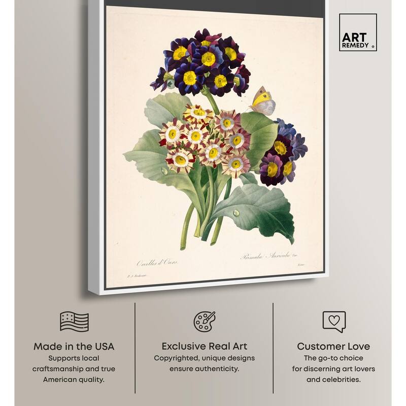 Auricula Varieties Canvas by Art Remedy