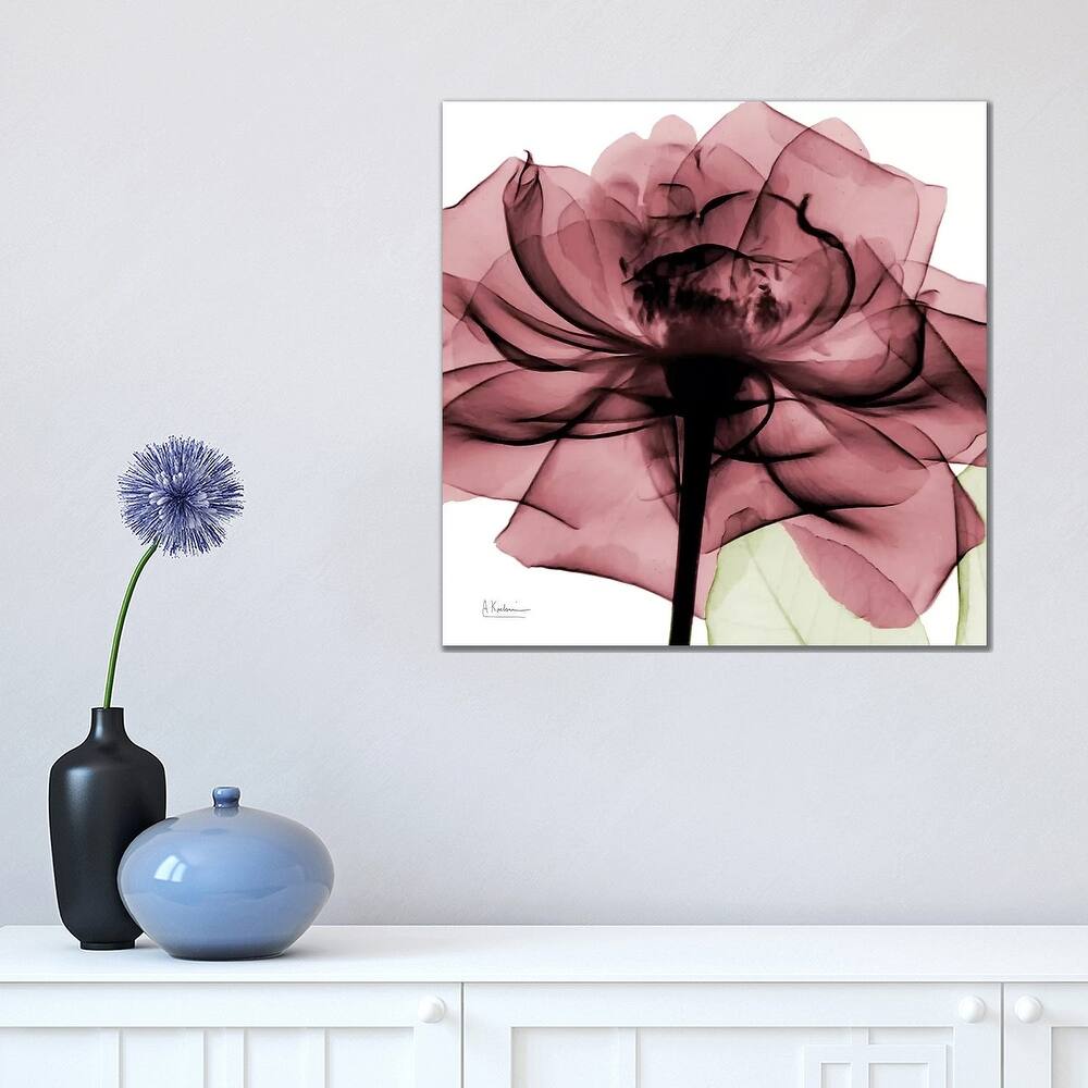 iCanvas "Chianti Rose II" by Albert Koetsier Canvas Print