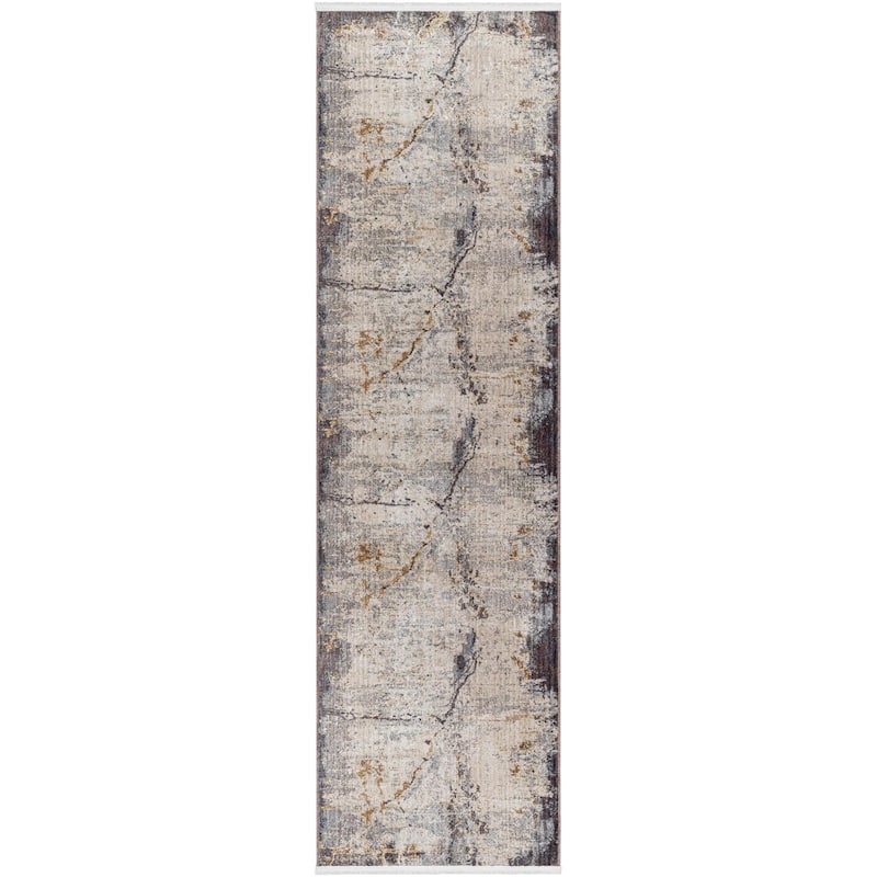 Livabliss Transitional Aida Ombre Area Rug