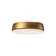 Option Aged Gold