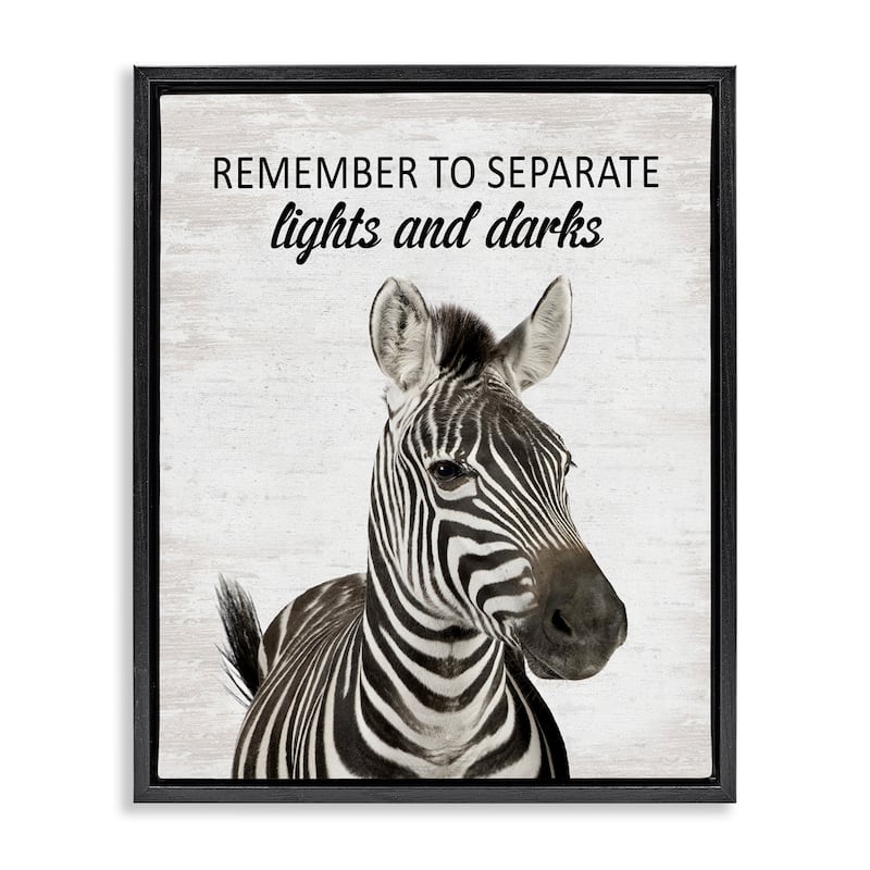 Stupell Remember To Separate Laundry Framed Floater Canvas Wall Art Design By Lettered and Lined - 25 x 31 - Black