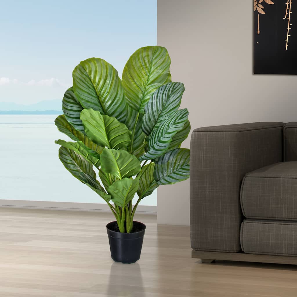 34" Potted PU Calathea Plant