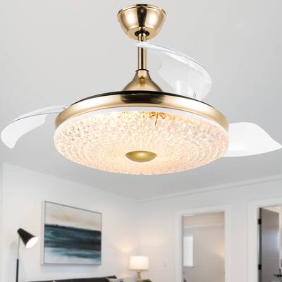 42" Black Modern Retractable Ceiling Fan with LED Light and Remote Control