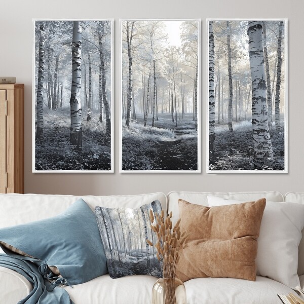 White Birch Trees In Winter Forest Panorama V - Winter Landscape