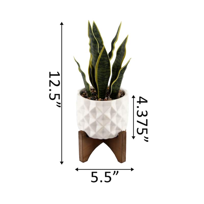 12.5"H Artificial Plant Fake Snake plant in Ceramic on Stand - ONE-SIZE