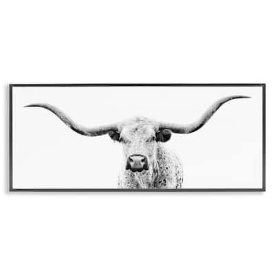 Stupell Longhorn Cattle Gazing Modern White Photography Design Framed Wall Art, Design by PHBurchett