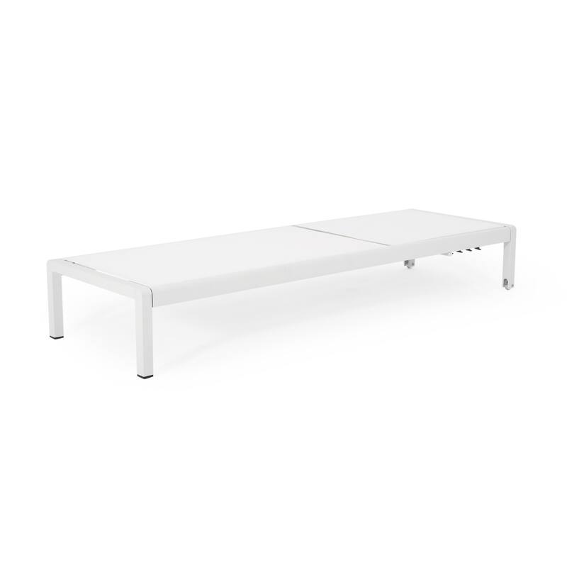 Roomfitters Adjustable Outdoor Chaise Lounge Chair, Modern Patio Recliner with Aluminum Frame