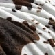 preview thumbnail 3 of 1, Moo Cow - Coma Inducer® Oversized Comforter Set