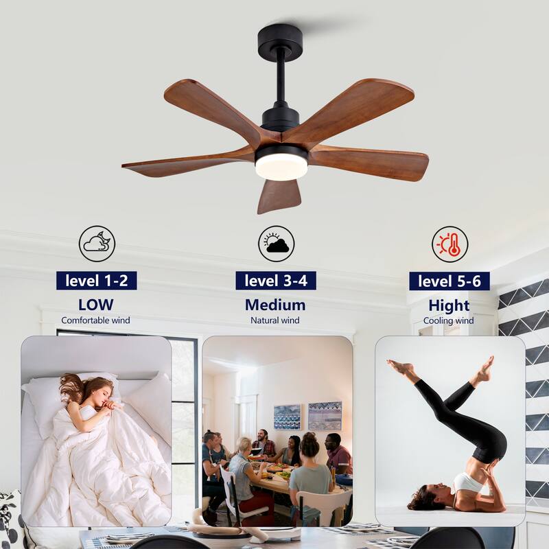42" Ceiling Fans with Lights and Remote, Noiseless Reversible DC Motor