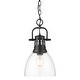 preview thumbnail 1 of 0, Golden Lighting 3602-S BLK Duncan 9" Wide Mini Pendant Matte Black / Clear