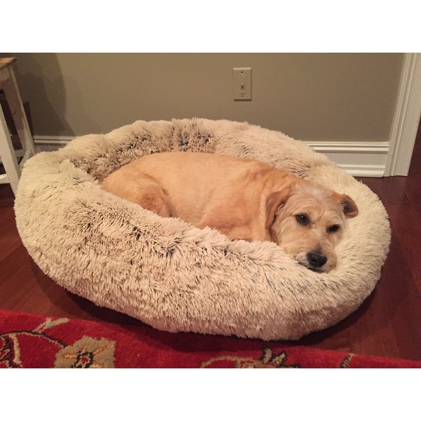 best friends dog bed