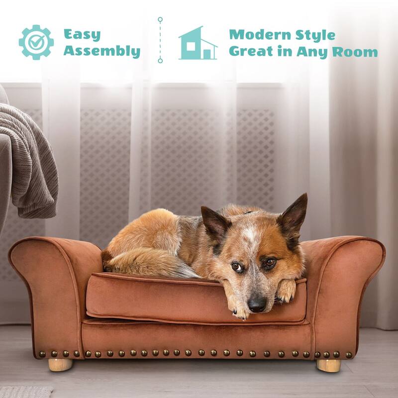 Critter Sitters 34-in. Faux Velvet Pet Bed Sofa for Medium-Sized Dogs and Cats in Brown