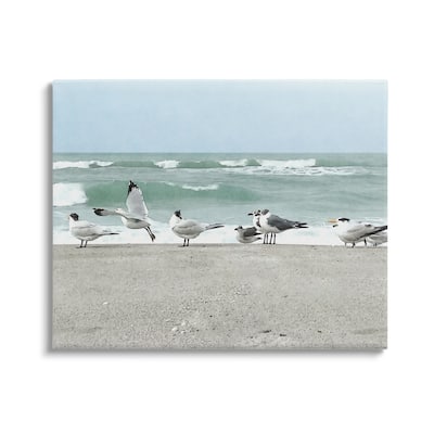 Stupell Birds Gathering On Shore Rolling Ocean Waves Canvas Wall Art by Christine Zalewski