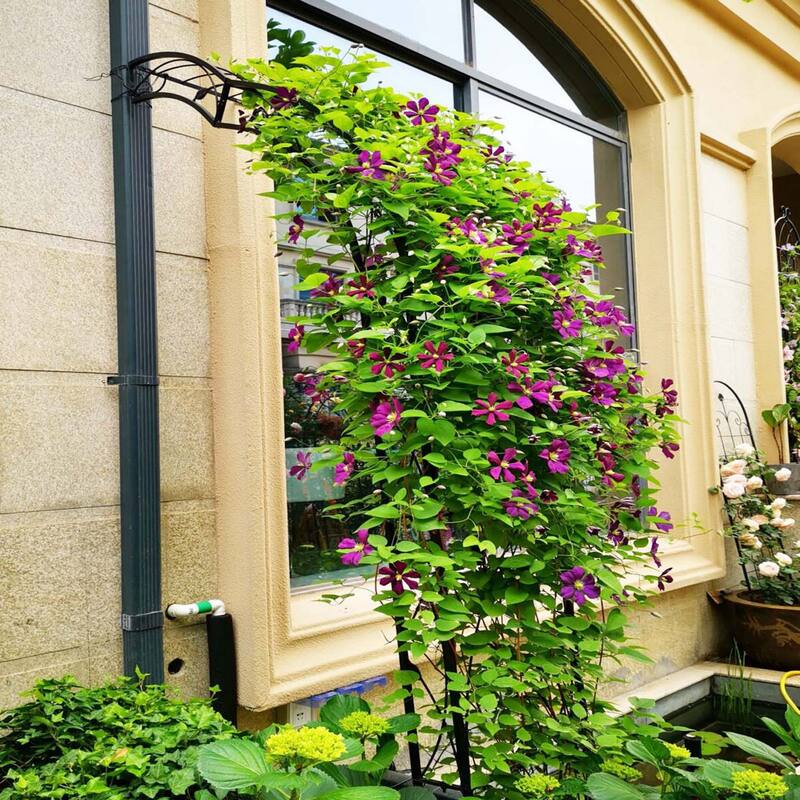 Metal arch trellis suitable for weddings and garden plant climbing