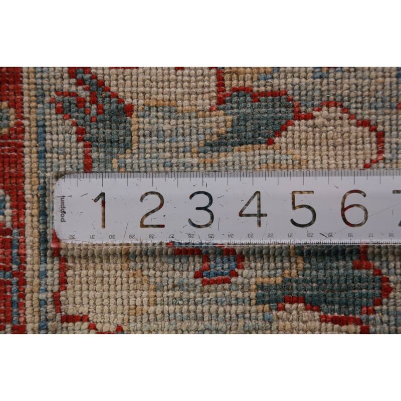 Vegetable Dye Traditional Ziegler Oriental Rug Handmade Wool Carpet - 6'0"x 8'11"
