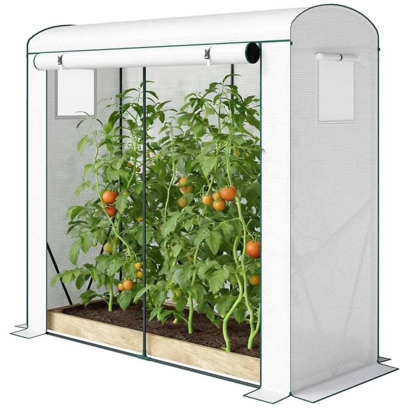 Mini Greenhouse, Portable Greenhouse, Planting Rack, Plant Rack, Green - white