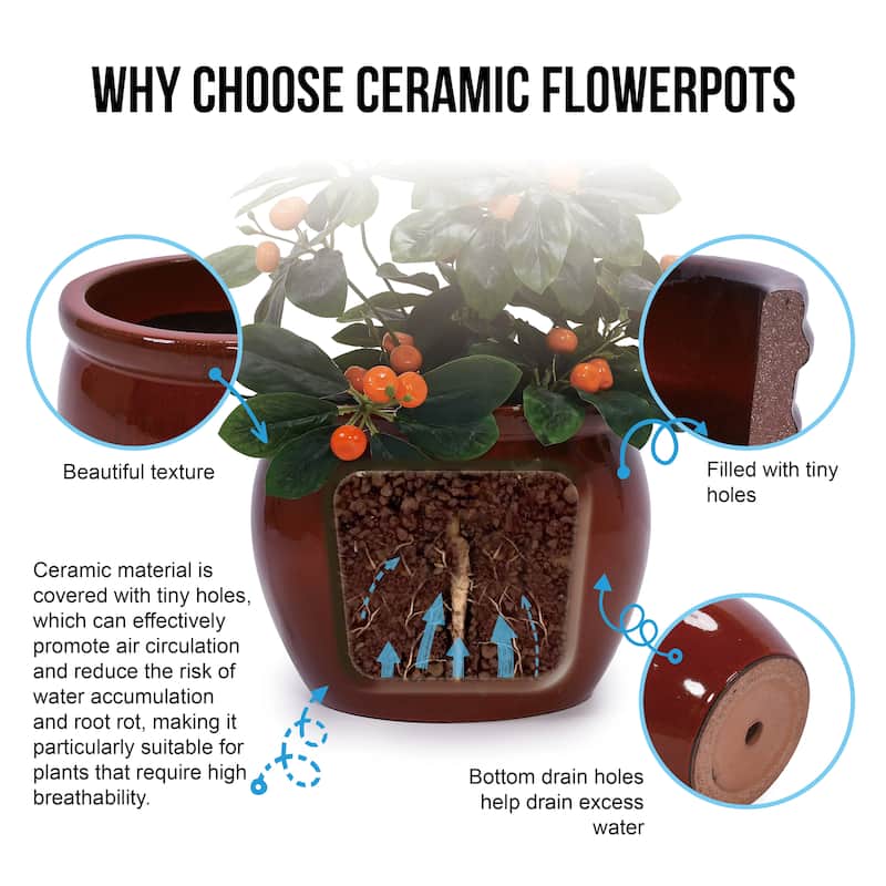 3 Handmade Ceramic Planter set Glossy Glaze for Succulent and Flower