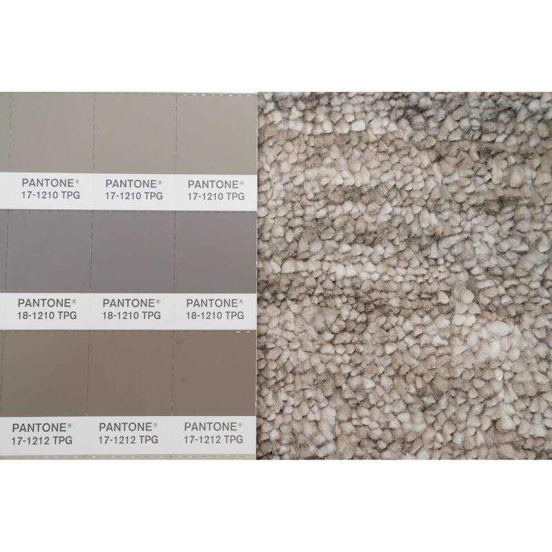Hand Knotted Oriental Viscose Silk Carpet Tribal Animal Pictorial Greys & Charcoal Gabbeh Area Rug - 11' 11'' X 9' 1''