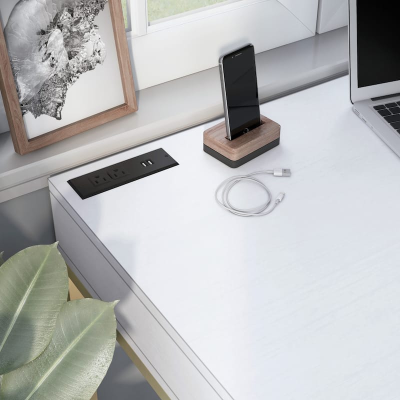 Bird Modern 42-inch Metal Computer Desk with USBs by Furniture of America
