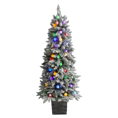 5' Flocked British Columbia Mountain Fir Christmas Tree in Planter - Green