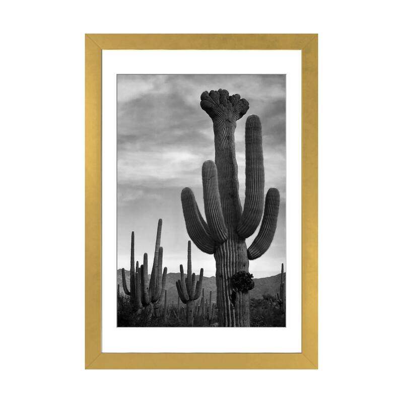 iCanvas "Saguaros, Saguaro National Monument" by Ansel Adams - Gold - 32x24x1