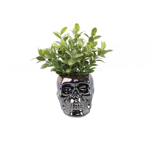 Tealeaf In Metalic Black Skull Ceramic 3.75X4.5X4