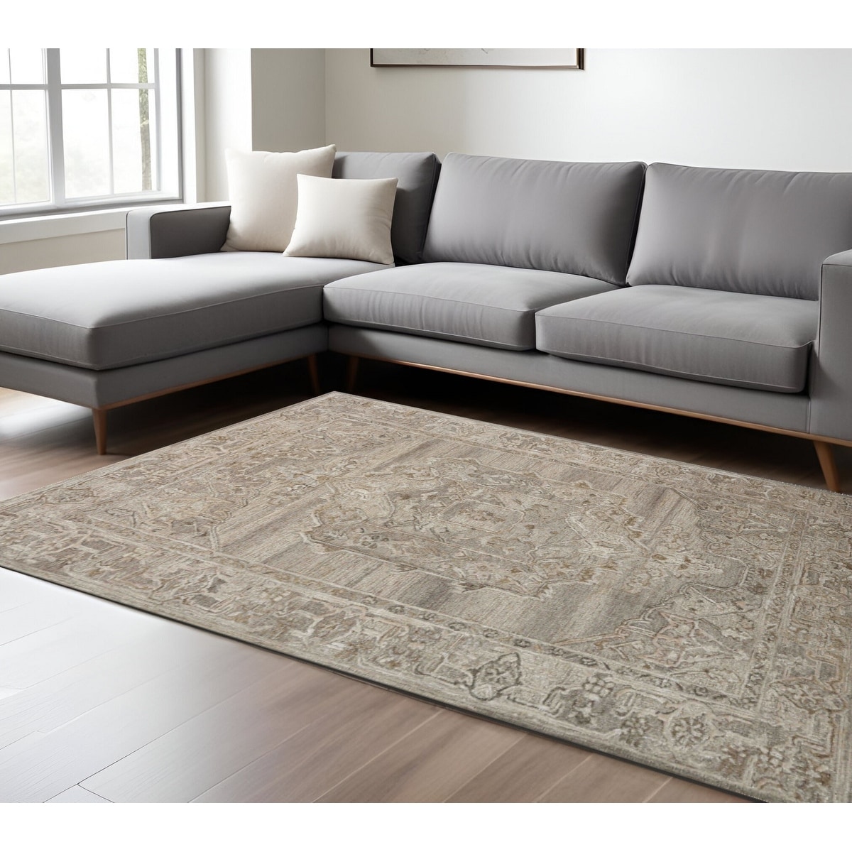 HomeRoots Goje Oriental Transitional Rectangle Area Rug