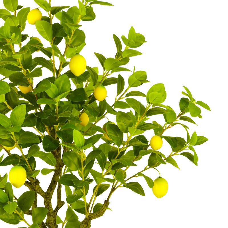 SAFAVIEH Sheree Faux Lemon 60-inch Potted Tree - 35" W x 35" D x 60" H - 35Wx35Dx60H