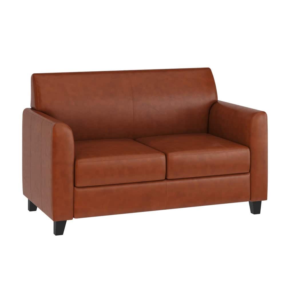 LeatherSoft Loveseat with Clean Line Stitched Frame