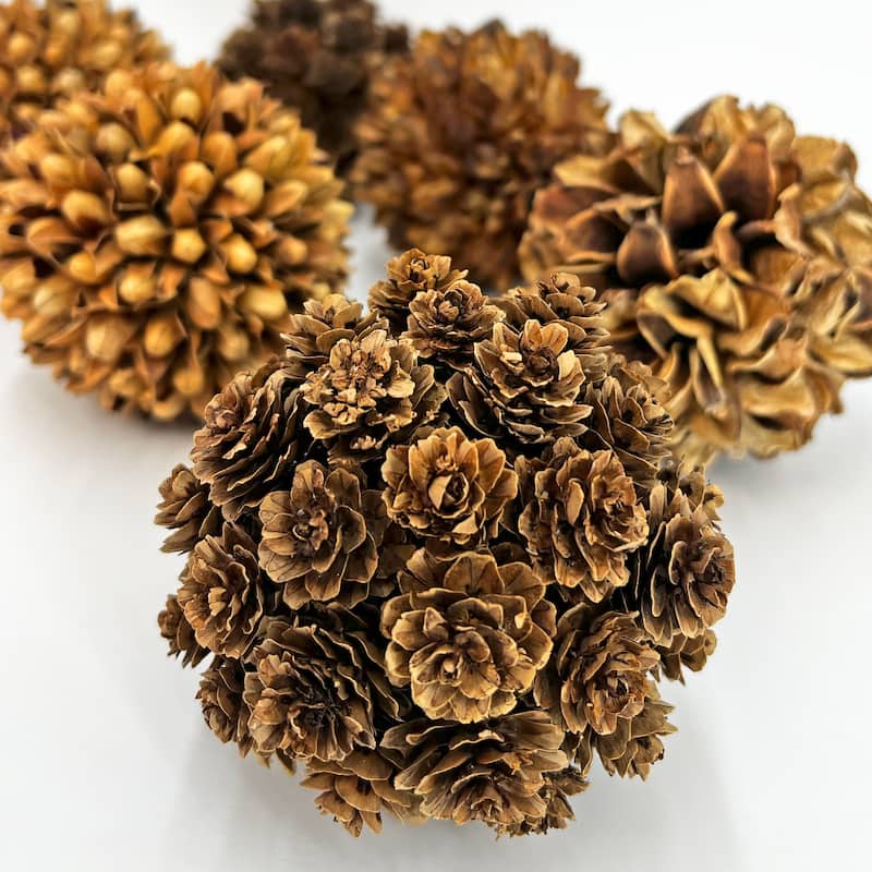 Handmade Natural & Preserved Topiary Balls Decorative Bowl Filler Orbs In Brown Botanical Accent Set Of 6 - 4x4x4 inch