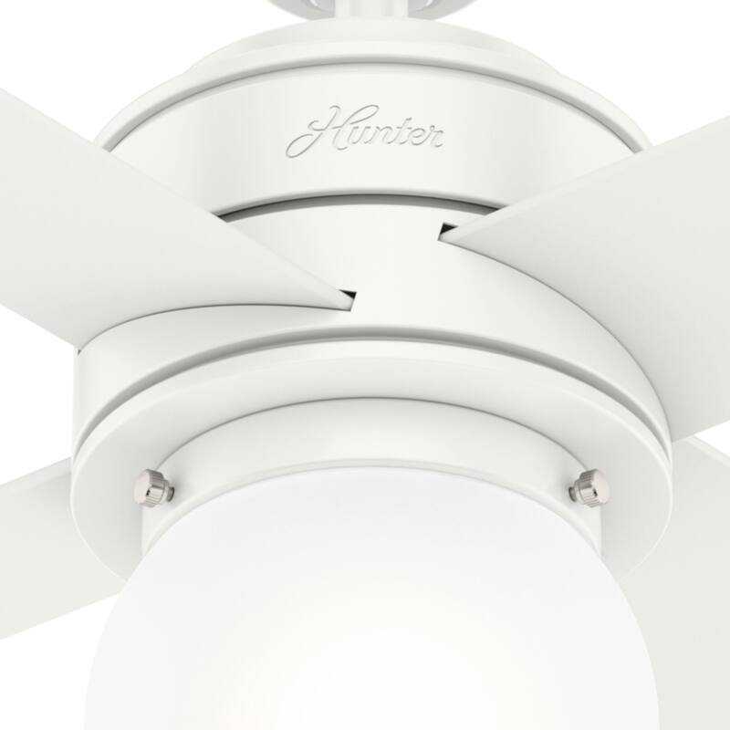 Hunter 52" Hepburn Ceiling Fan with LED Light Kit and Wall Control - Vintage, Mid-Century Modern, Transitional