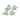 Terracotta Bird (Set of 4) - 4.5 x 2.5 x 2.5; 3.75 x 2.5 x 2.5