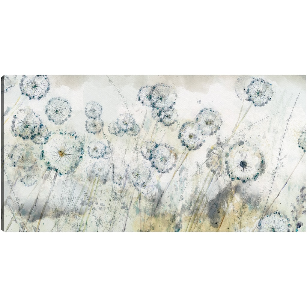 Dandelion Spring By Studio Arts Canvas Art Print