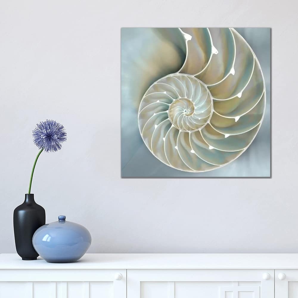 iCanvas "Nautilus In Blue II" by Caroline Kelly Canvas Print