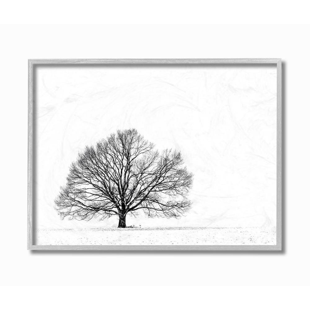 Stupell Industries Winter Tree Silhouette Black And White Landscape Photograph Framed Wall Art Overstock 31249091 Since the silhouette studio tracing tool works on color contrast, tracing black and white photos images usually results in a better trace. stupell industries winter tree silhouette black and white landscape photograph framed wall art