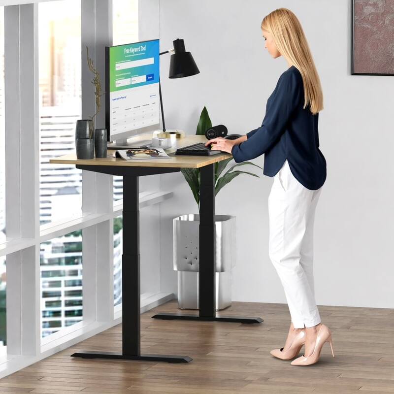 Rise Up Electric Standing Desk Dual Motor 48x30 solid bamboo desktop