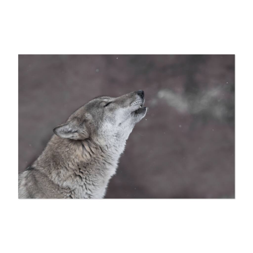 The song of the wolf beast visualizing its song Art Print/Poster