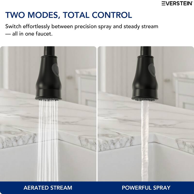 Single Handle Pull Down Kitchen Faucet with Sprayer,360° Spout Swivel with Deckplate