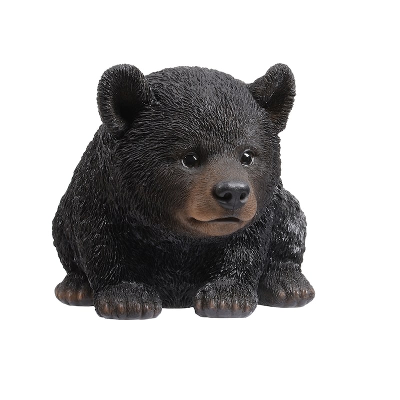 Baby Black Bear Crawling