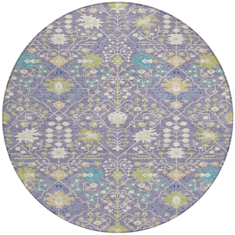 HomeRoots Oriental Traditional Rectangle Outdoor Rug