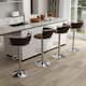 Option Silver/Coffee