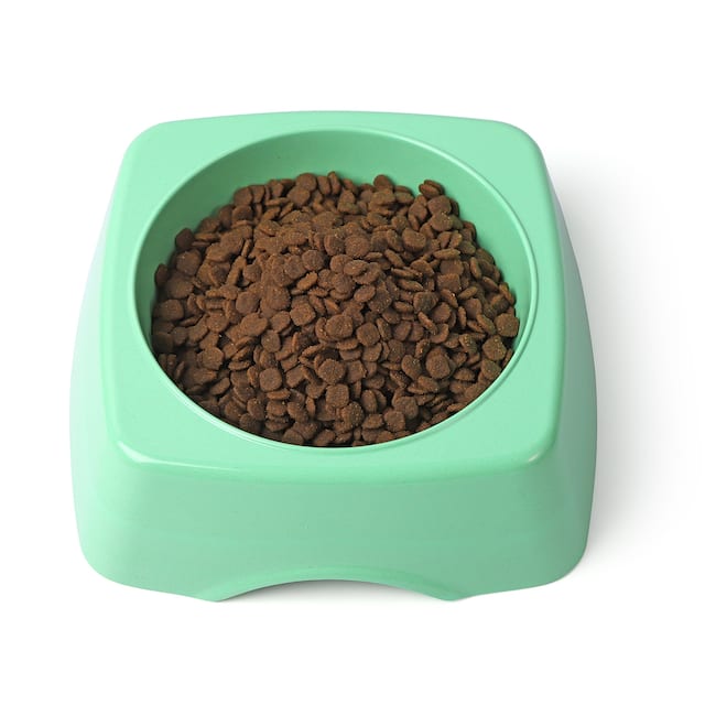Non-toxic, biodegradable pet bowl