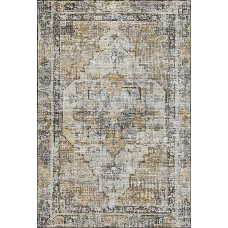 Premium Washable Super Soft Vintage Traditional Mayfield Rug