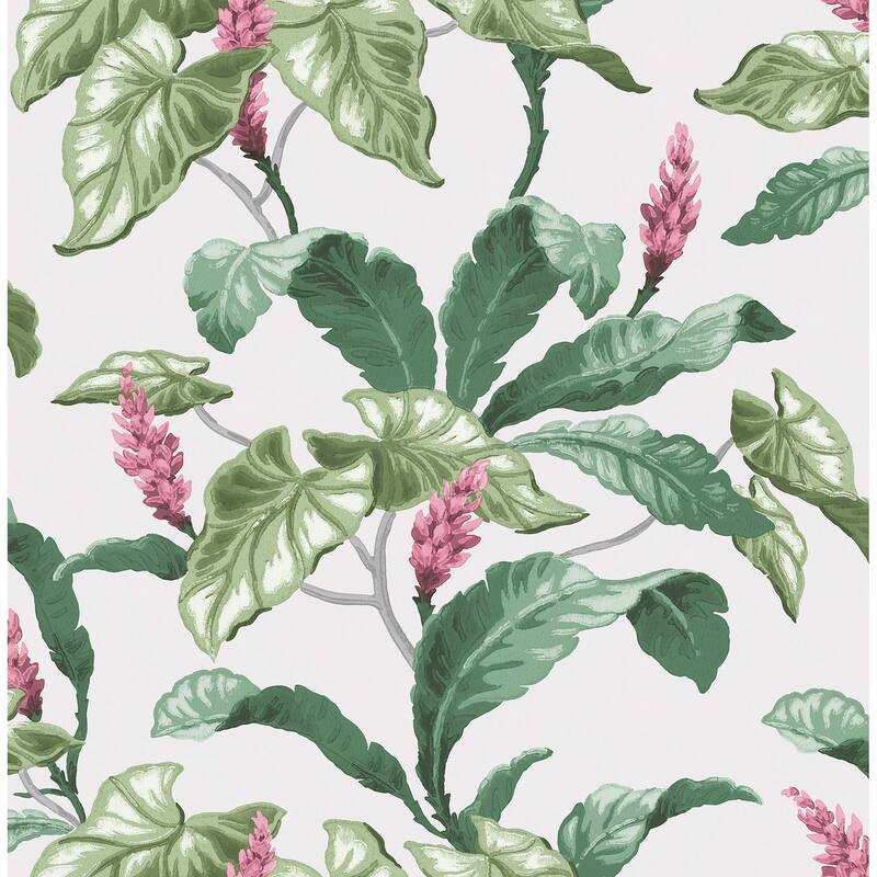 Brewster Meridian Parade Green Tropical Leaves Wallpaper